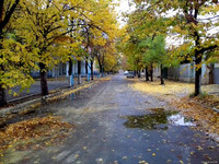 Аккерман сегодня