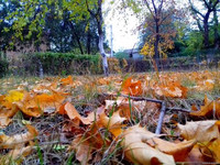 Аккерман сегодня