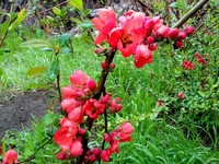 Природа Бессарабии.