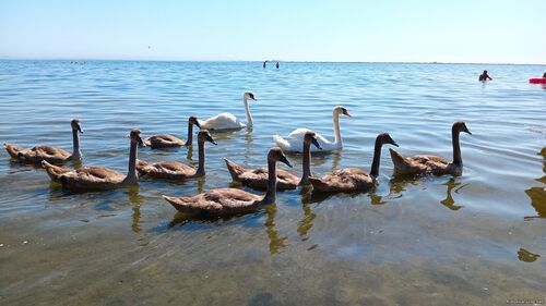 Природа Бессарабії.