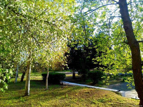 Природа Бессарабии.