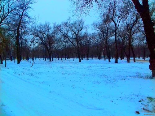 Природа Бессарабии.