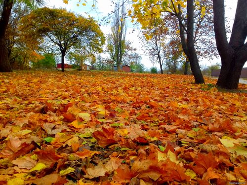 Природа Бессарабии.