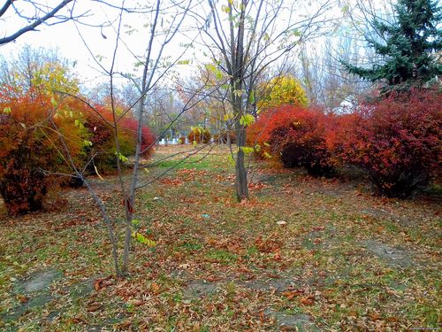 Природа Бессарабии.