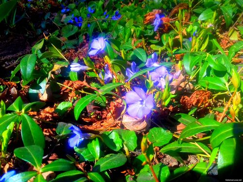 Природа Бессарабии.