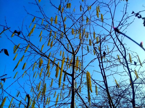 Природа Бессарабии.