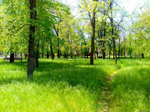 Природа Бессарабии.