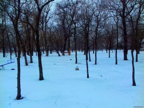 Природа Бессарабии.