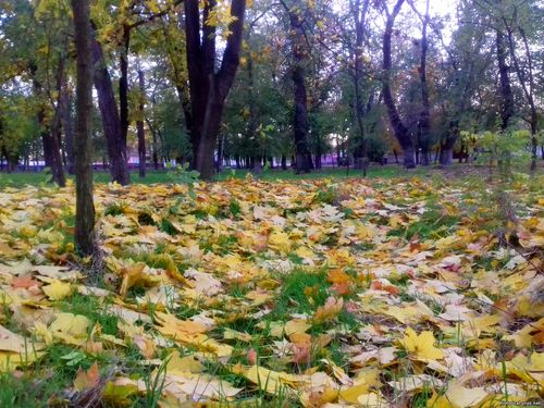 Природа Бессарабии.