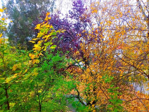 Природа Бессарабии.