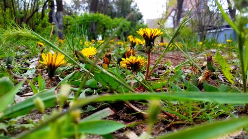 Природа Бессарабии.