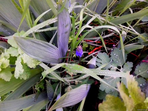 Природа Бессарабии.