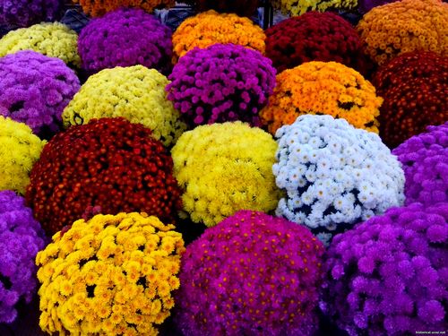 Природа Бессарабии.