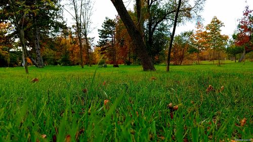 Природа Бессарабії.