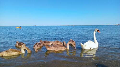 Природа Бессарабії.