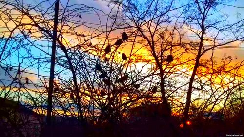 Природа Бессарабии.