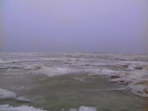 Природа Бессарабии.