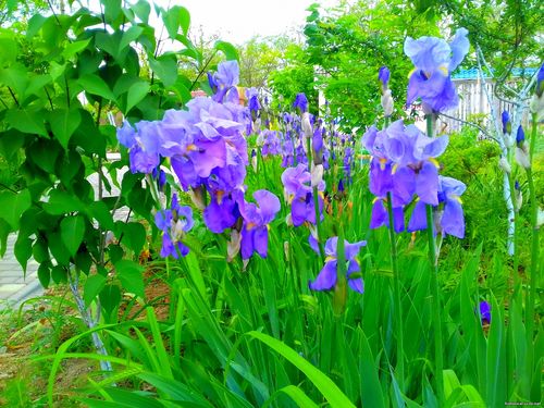 Природа Бессарабии.