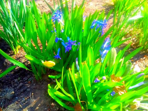 Природа Бессарабии.