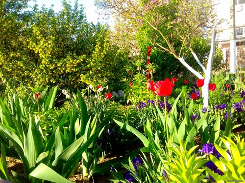 Природа Бессарабии.