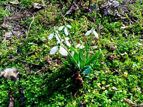 Природа Бессарабии.