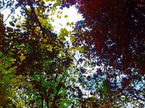 Природа Бессарабии.