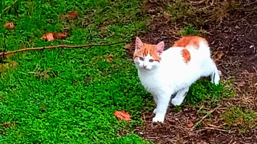 Природа Бессарабії.