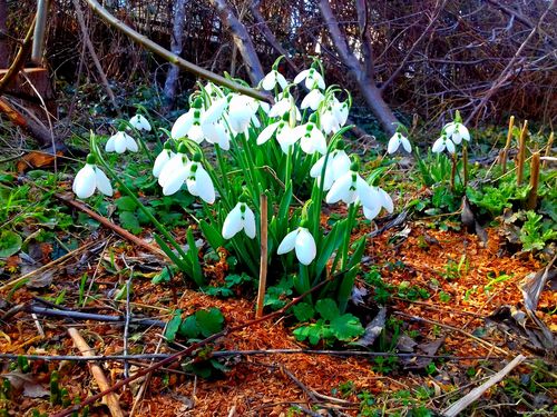 Природа Бессарабии.
