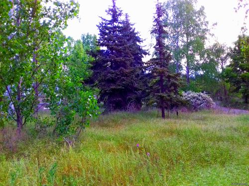 Природа Бессарабии.