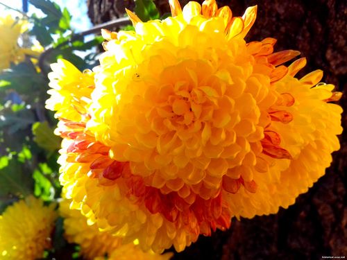 Природа Бессарабии.