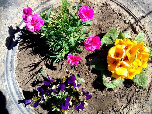 Природа Бессарабии.