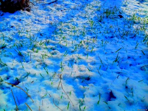 Природа Бессарабии.